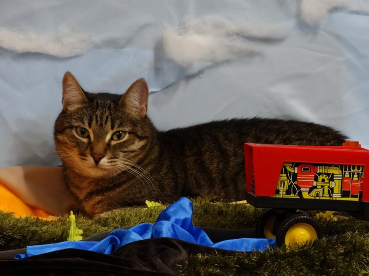 Сельская романтика для стареньких кукол