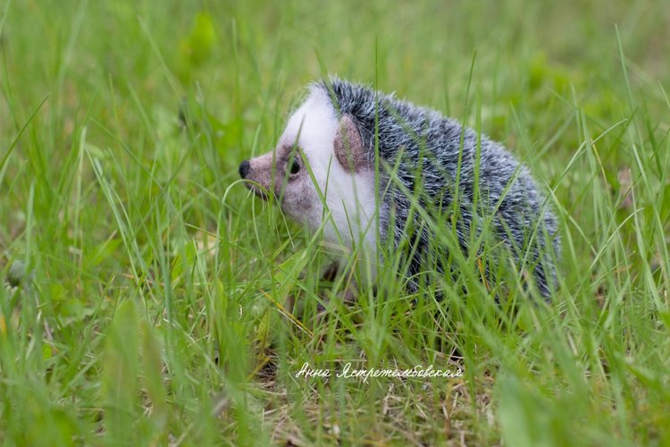 Ёжинька — Валяные игрушки из шерсти: сухое валяние (фото 3)