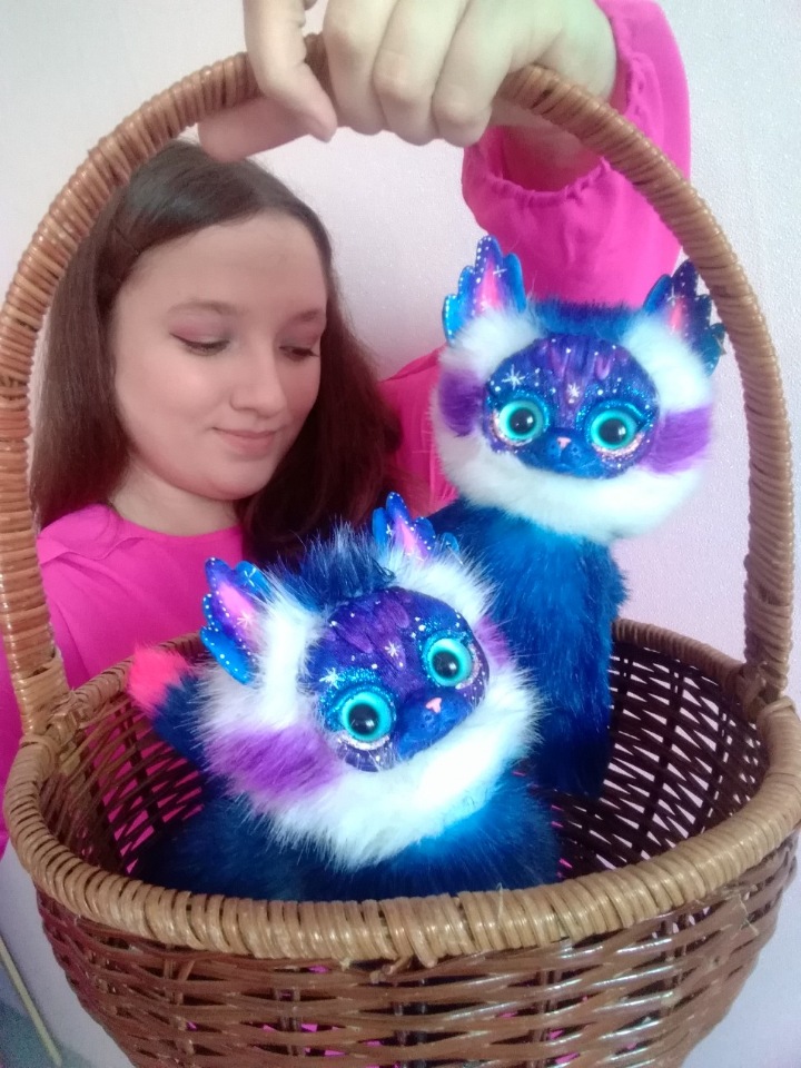 Кото-Стражницы космоса бродили по земле... Первая летняя прогулка