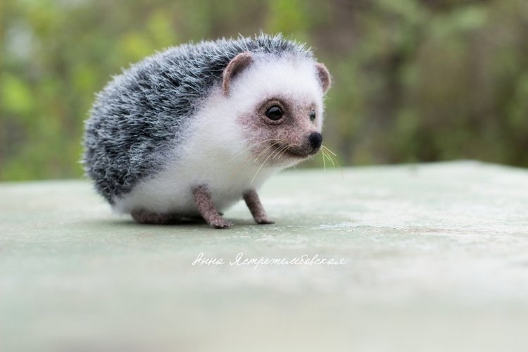 Ёжинька — Валяные игрушки из шерсти: сухое валяние (фото 6)