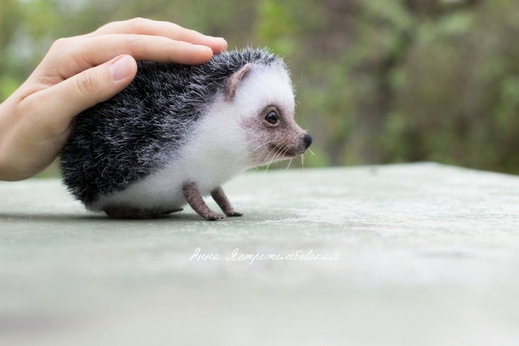 Ёжинька — Валяные игрушки из шерсти: сухое валяние (фото 9)