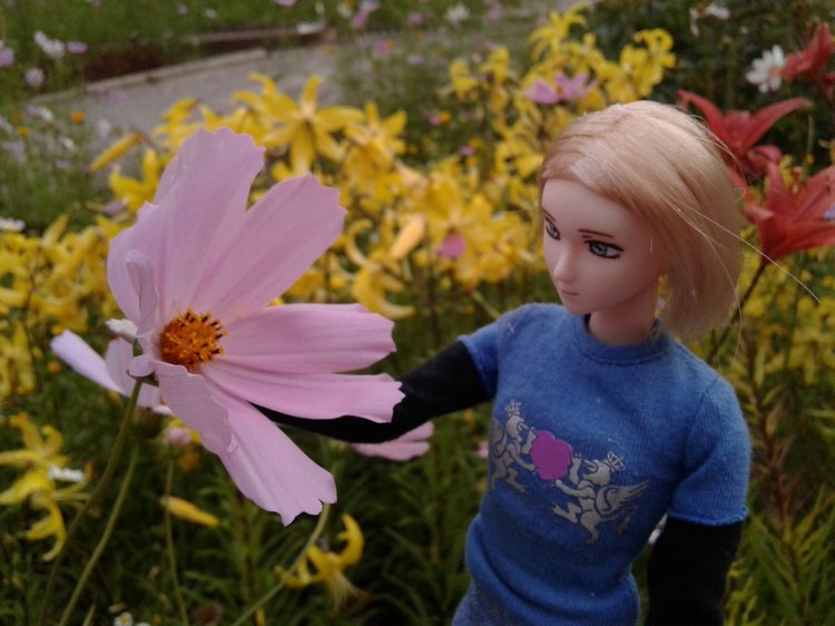 Прогулка... или свидание?! Центральный парк и цветы