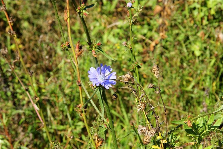 Старицкая Швейцария. Старицкие пещеры, д. Толпино, заключительная часть