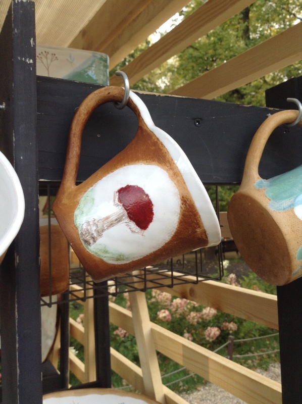 Аптекарский огород сегодня. ч.5. Грибной фестиваль