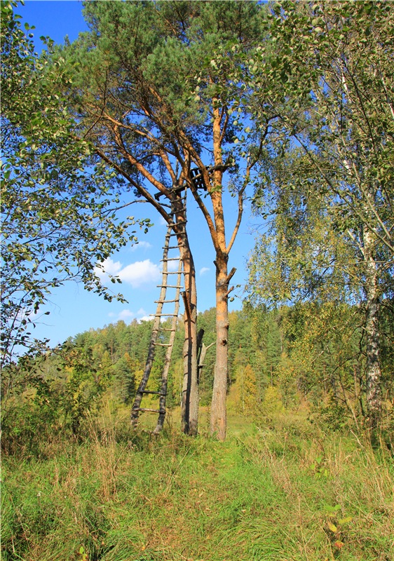Нийя. Воспоминание об осени, Чукавино, Эко-Лэнд