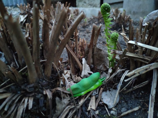 Что такое гасяпон — Домашние фото авторских игрушек: Тедди (фото 8)