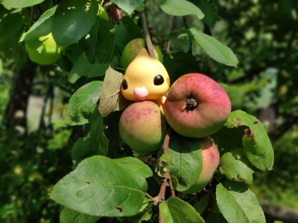 Попугайчик Kotoribir — Коллекционные куклы разных авторов (Разное): редкие бренды (фото 4)