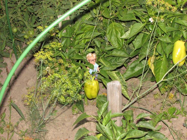 Путешествие в Нижегородскую область - часть 3 - Тимошка на усадьбе (фото 3)