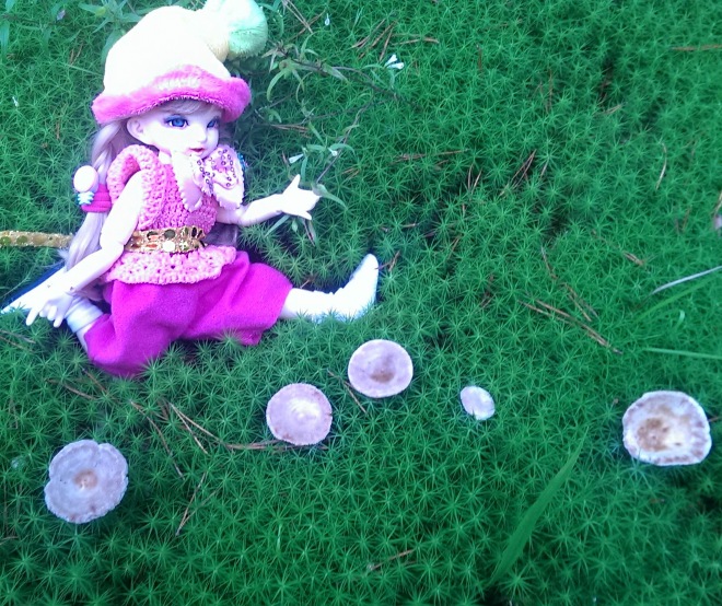 Лесные приключения... Волшебство, сосны, грибы, полетаем)