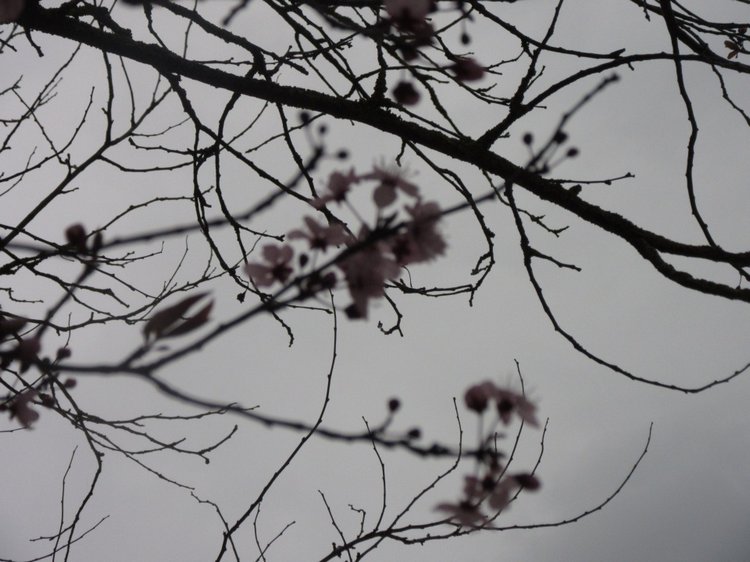 До пандемии. Путешествие по Италии, часть 3 (Флоренция, аутлет Барберино)