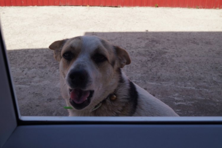 Счастье можно принести в пакетах | Бэйбики Счастье можно принести в пакетах (фото 4)