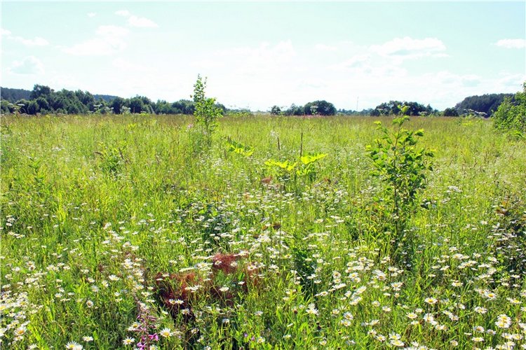 Путешествие Эли на красивый берег реки Волги