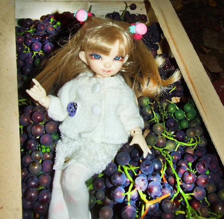 Линка и Иришка - сборщицы винограда | Бэйбики Линка и Иришка - сборщицы винограда