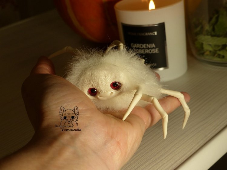 Halloween и маленькие паучки