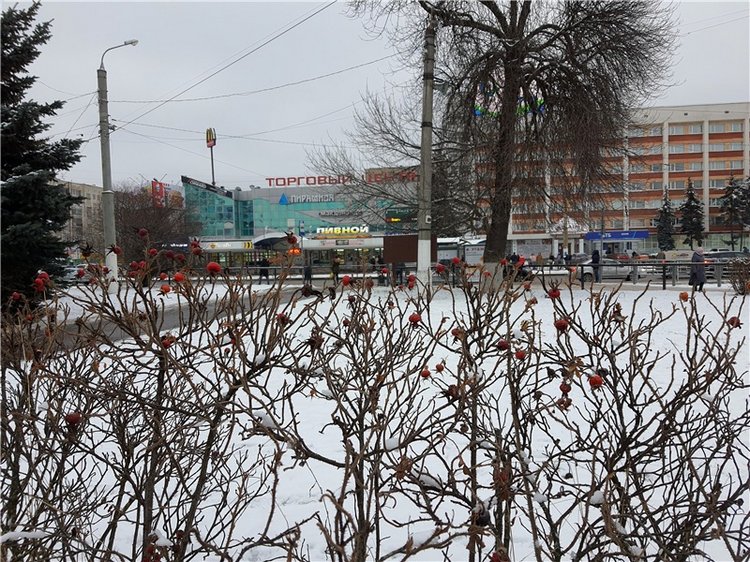 Город, в котором я живу — Туризм и путешествия: фотоотчеты из поездок (фото 9)