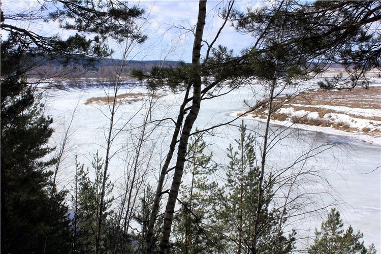 Весна в "Саду Камней" | Бэйбики Весна в "Саду Камней" — Куклы Meadow dolls (Медовушки): BJD (БЖД)