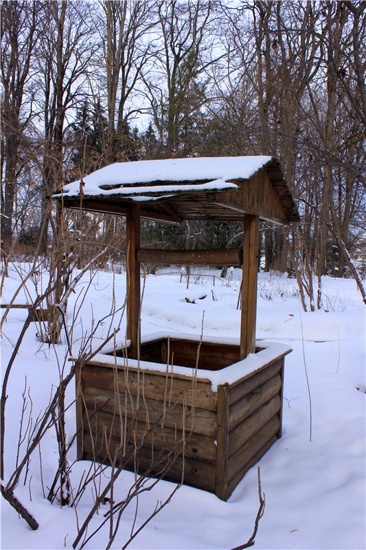 Тверской Ботанический Сад, заключительная часть