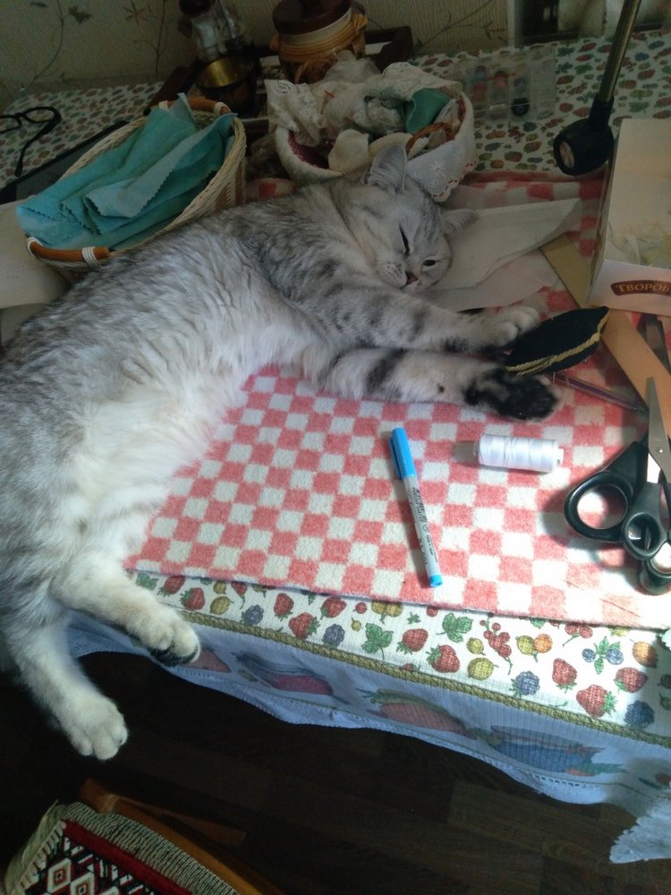 Гостей с такими подарками надо гнать поганой метлой! Или не надо