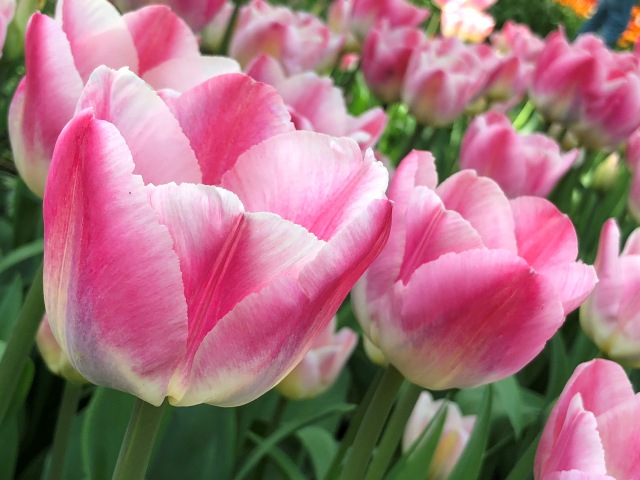 Тони Старк: приключения без брони. Был месяц май, половина вторая