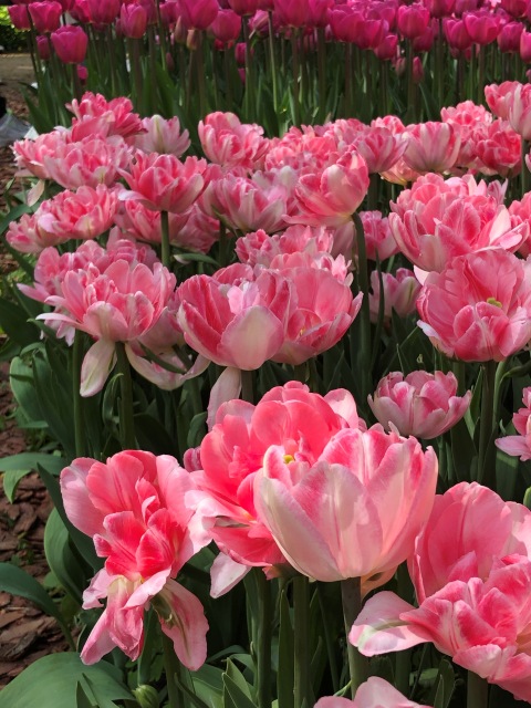 Тони Старк: приключения без брони. Был месяц май, половина вторая