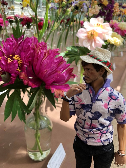 Тони Старк: приключения без брони. И снова Аптекарский огород | Бэйбики Тони Старк: приключения без брони. И снова Аптекарский огород