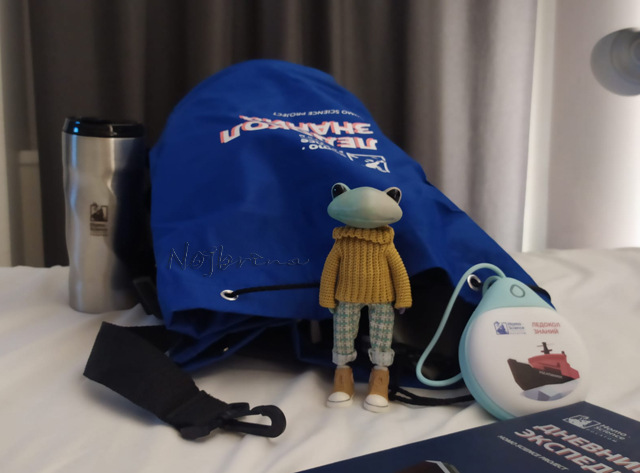 Большое путешествие Кензо. Арктика. Северный полюс