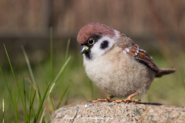 Воробушки — Валяные игрушки из шерсти: сухое валяние