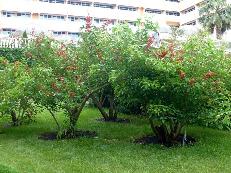 Краснодарский Край, Сочи-Адлер, Санаторий «Южное Взморье»