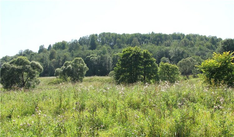 Старицкая Швейцария. Путешествие Мии. Minifee Miyu FairlyLand | Бэйбики Старицкая Швейцария. Путешествие Мии. Minifee Miyu FairlyLand