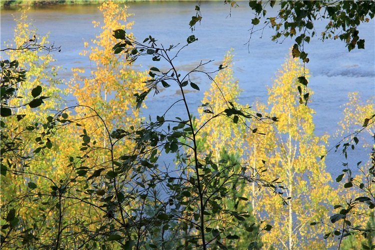 Путешествие Адель в "Сад камней". Джульетта от Sylvia Natterer