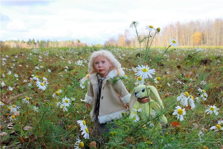 Ромашковый октябрь. Zwergnase Mischa