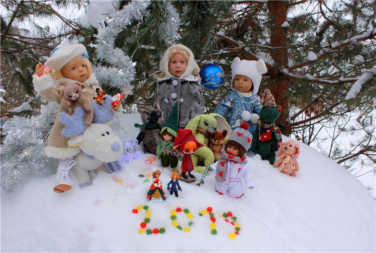 Рождественские гуляния, часть вторая. Zwergnase Mischa