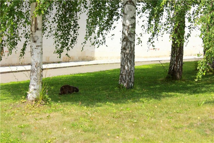 Любимая Старица. Свято-Успенский мужской монастырь