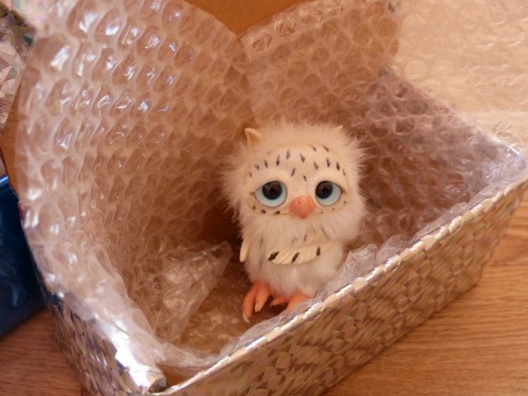 Новогодняя упаковка, провожаем в путь зверяток. Разные фотографии