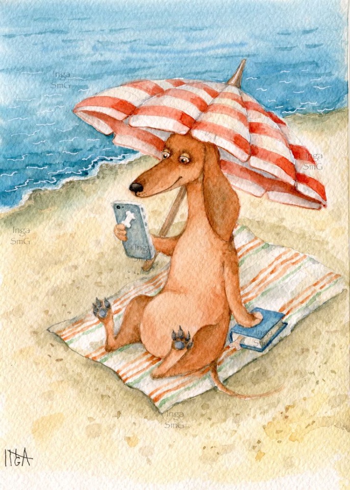 Предновогодние денёчки! Улыбнёмся вместе! Смешные таксы Инги smG