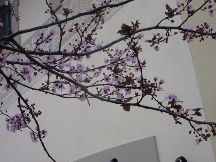 До пандемии. Путешествие по Италии, часть 3 (Флоренция, аутлет Барберино)