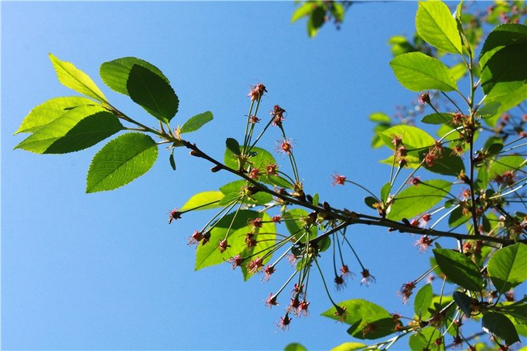 Из Чукавино в Старицу — Культура