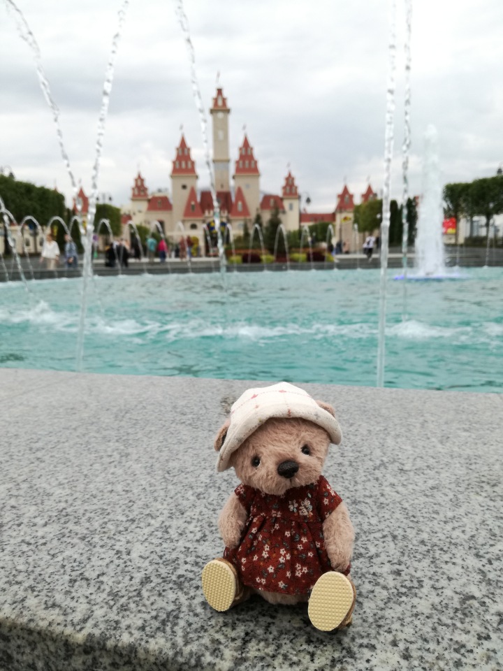 Знакомьтесь, новый вид медведей - медведь сумочный