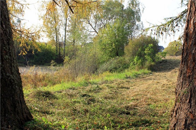 Путешествие Dal Hangry в Грузины