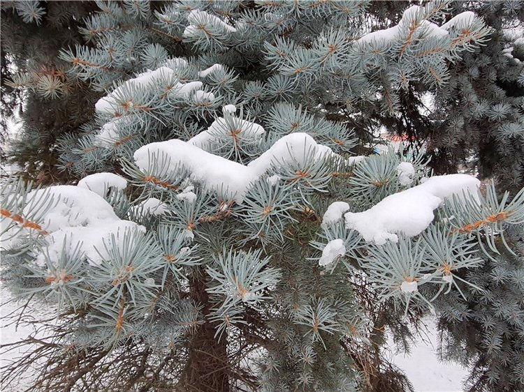 Город, в котором я живу — Туризм и путешествия: фотоотчеты из поездок (фото 6)