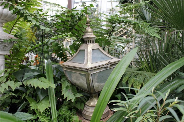 Тверской Ботанический Сад, продолжение | Бэйбики Тверской Ботанический Сад, продолжение