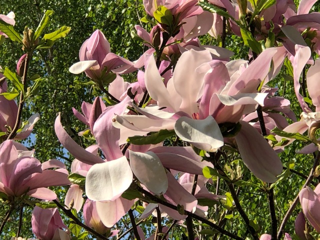 Тони Старк: приключения без брони. Был месяц май, половина вторая