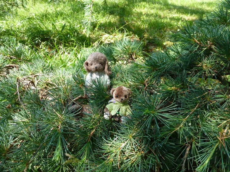 Краснодарский Край, Сочи-Адлер, Санаторий «Южное Взморье»