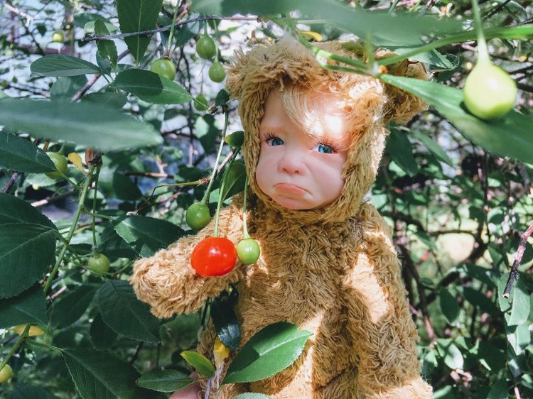 Teddy doll — Авторские куклы Тедди (фото 2)