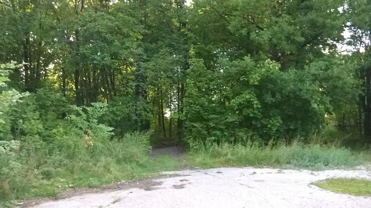 Девчонка по имени Женька-подарок форумчанки Анечки