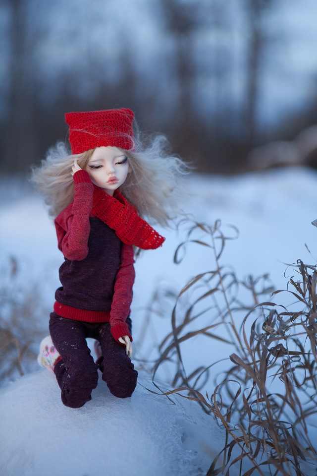 Колегаево 3 — Куклы DIM (Doll in Mind): корейские BJD (БЖД) (фото 10)