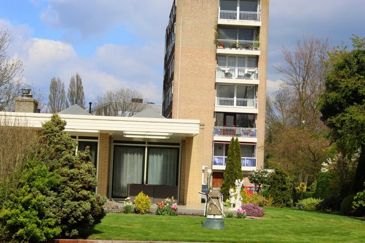 Цветущая Сакура. Прогулка по парку с Алисой. Весенние зарисовки