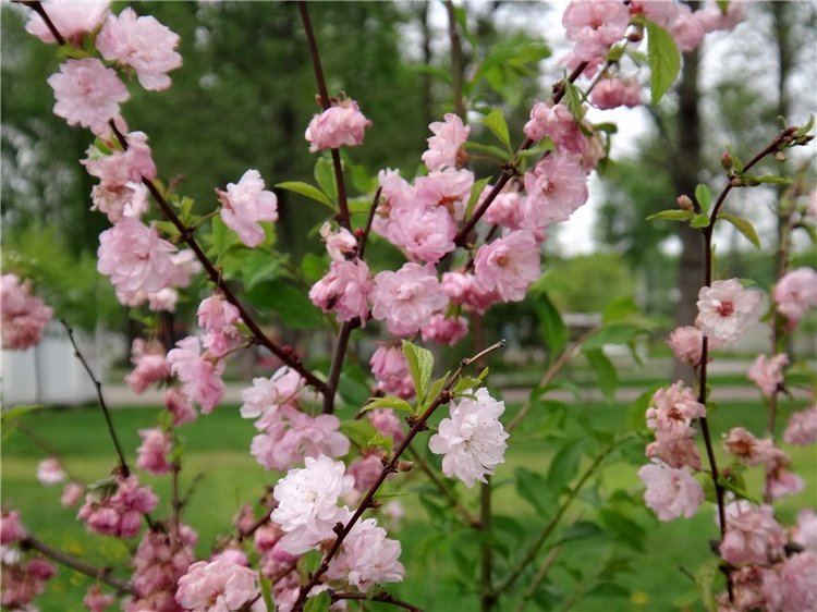 Милый мой город. Прогулка по Твери, заключительная часть