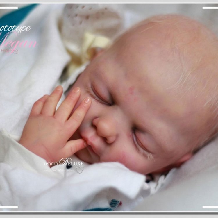 Молд Megan скульптор Menna Hartog