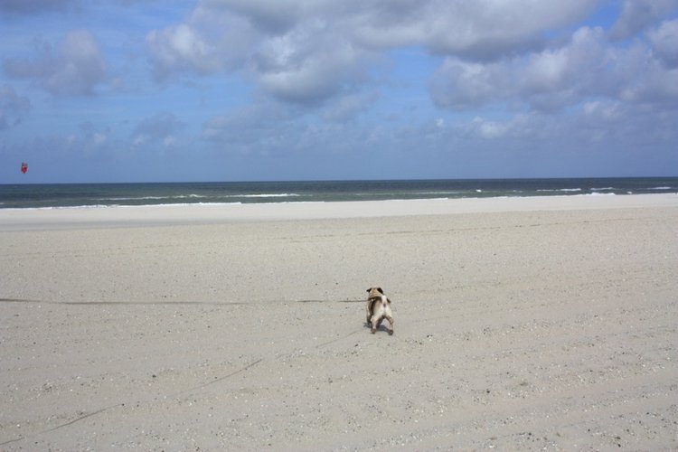 Мисс Бэйбики 2019. Ночная фотосессия в купальнике - часть первая | Бэйбики Мисс Бэйбики 2019. Ночная фотосессия в купальнике - часть первая (фото 7)